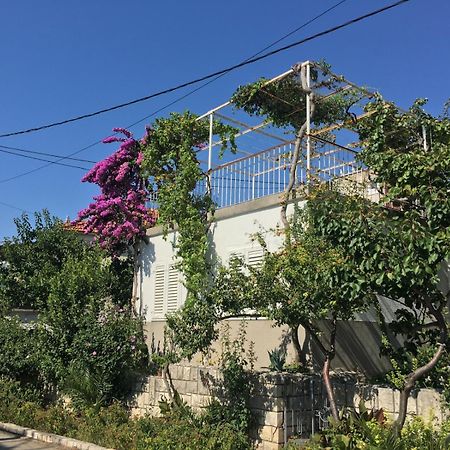 포드스트라나 Domuskova 아파트 외부 사진